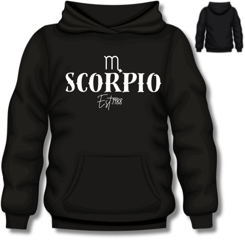 Zodiac “Est.” Personalized Hoodie | All 12 Signs Available | Unisex Astrology Hoodie